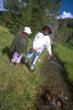 Children and Waterwheels: Are They Vanishing from Lassen Volcanic...